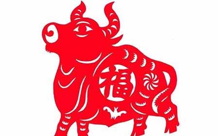 2019年虚岁48岁是属什么的,生肖运势怎么样