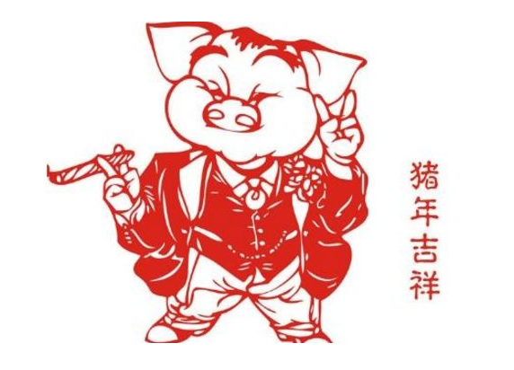 属猪的人2019年本命年多大了,属猪人2019年虚岁多少岁