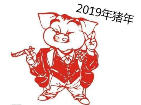 1995年的属猪人2019年本命年运气不好怎么转运