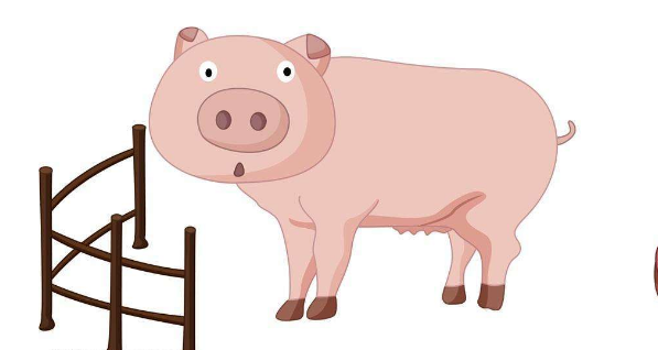 2019年属猪人犯太岁的贵人属相有哪些？