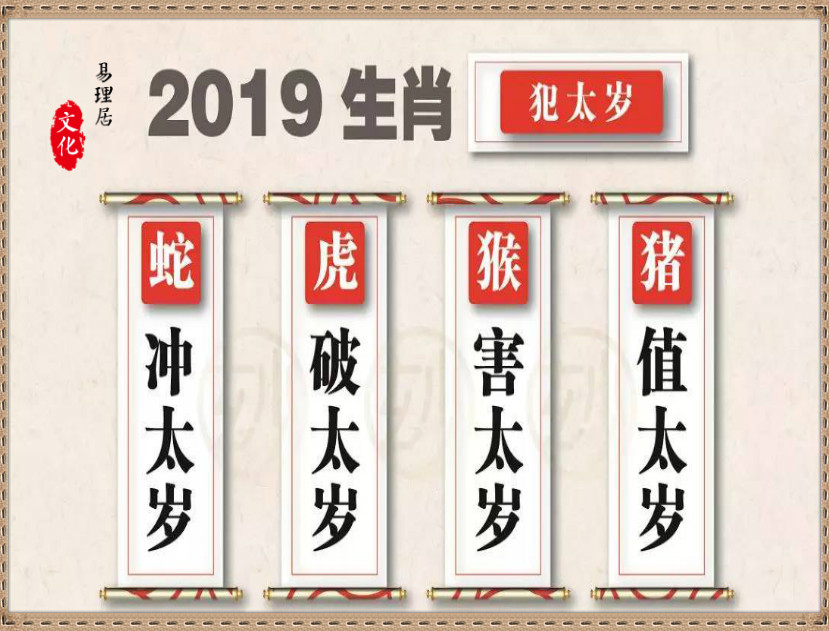 2019猪年那几个生肖犯太岁:提前知道早预防